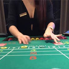 bullsbet bullsbet